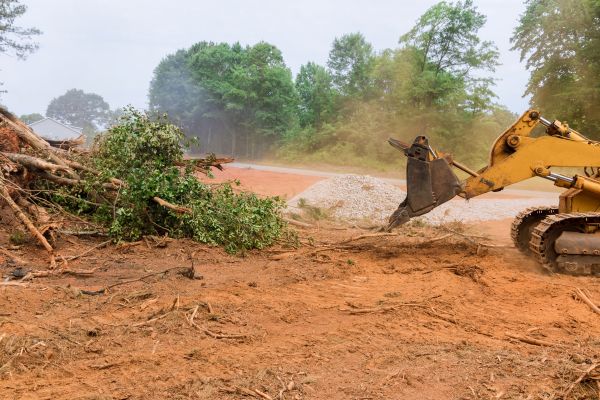 Ground Clearing in Grand Prairie