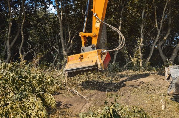 Brush Removal Service in Grand Prairie