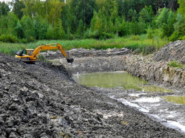 Cost of Lake Lot Clearing in Grand Prairie