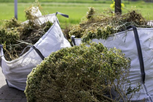 Bushes Clearing in Grand Prairie