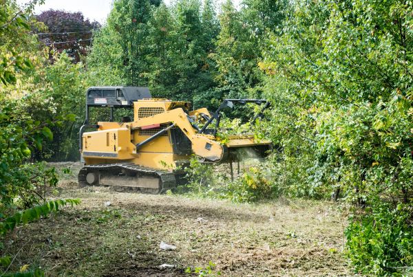 Cost of Pathway Clearing in Grand Prairie