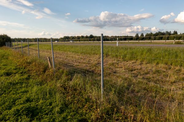 Cost of Property Line Clearing in Grand Prairie
