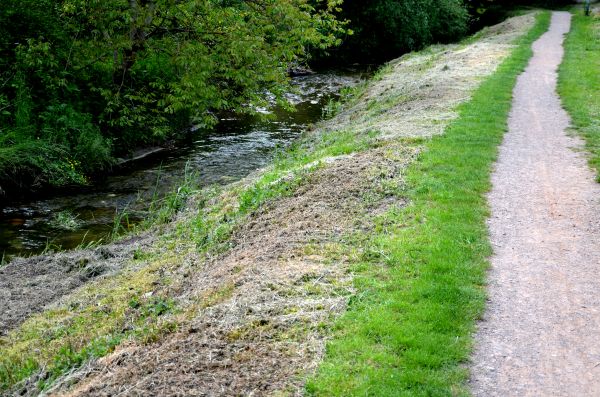 Cost of Trail Cutting in Grand Prairie
